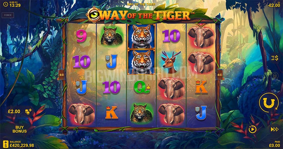 Way of the Tiger slot